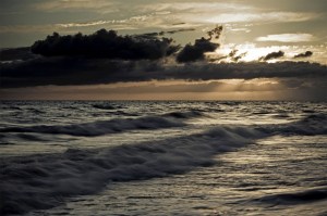 41950_20130411_1736436475