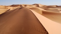 Desert-Amazing-Wallpaper