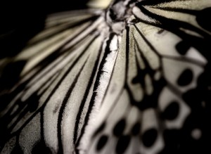 12813_20120416_1435435475