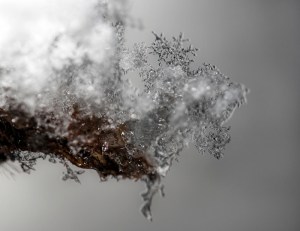 19943_20120416_1324904971