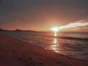 PICT0336 - Copia (2)